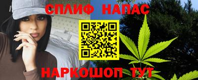 ешки Гагарин