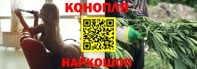 трава Гатчина