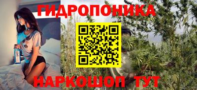 ешки Гагарин
