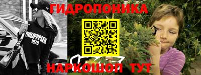 трава Гатчина